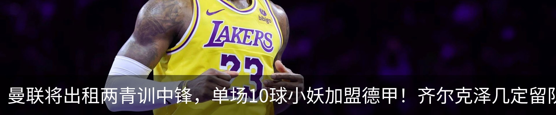 最新动态