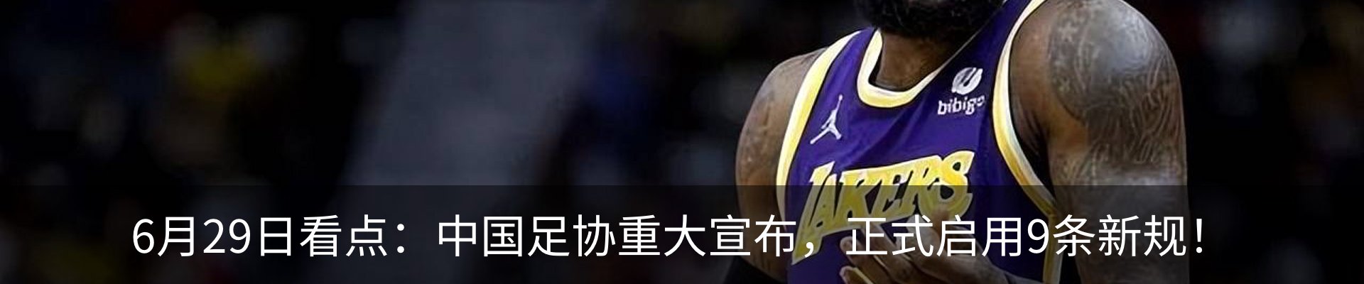 最新动态